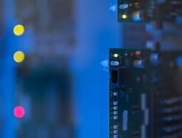 Tuinbouwbedrijven met meer ICT-ondersteuning renderen beter