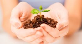 Start-up accelerator voor tuinbouw start begin 2017