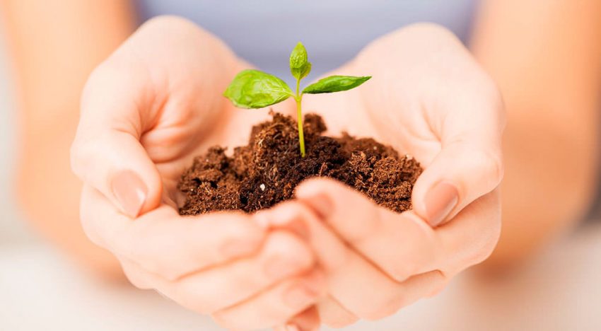 Start-up accelerator voor tuinbouw start begin 2017 Start-up accelerator voor tuinbouw start begin 2017