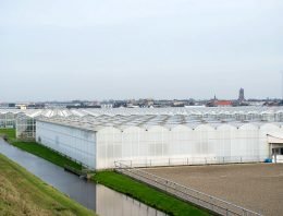 Westland kampt met verouderd kassenbestand