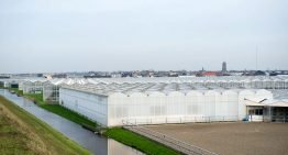 Wageningen Economic Research ontwikkelt regionale energiemonitor