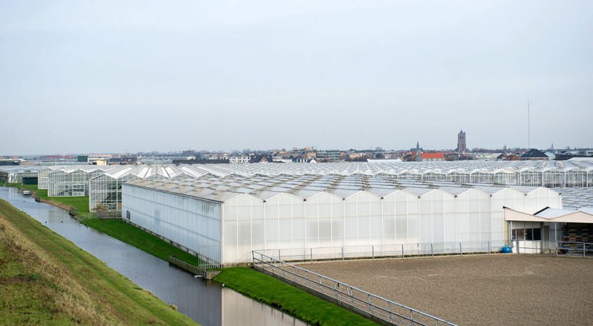 Westland kampt met verouderd kassenbestand