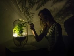 Let it Grow Lab van start met eerste selectie groene start-ups