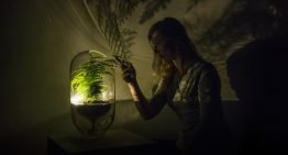 Let it Grow Lab van start met eerste selectie groene start-ups