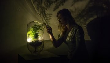 Let it Grow Lab van start met eerste selectie groene start-ups
