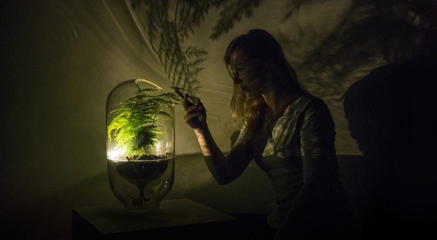 Let it Grow Lab van start met eerste selectie groene start-ups
