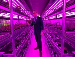 Vertical Farming komt er onherroepelijk aan, vraag is waar en wanneer