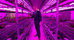 Vertical Farming komt er onherroepelijk aan, vraag is waar en wanneer