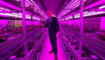 Vertical Farming komt er onherroepelijk aan, vraag is waar en wanneer