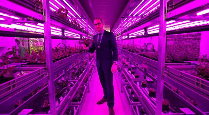 Vertical Farming komt er onherroepelijk aan, vraag is waar en wanneer