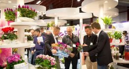 Noviteiten en innovatie centraal op beurzen Aalsmeer en Vijfhuizen