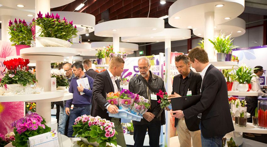 Noviteiten en innovatie centraal op beurzen Aalsmeer en Vijfhuizen