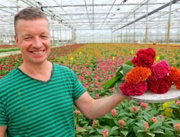 ‘Meer promotie noodzaak, maar budget ontbreekt’