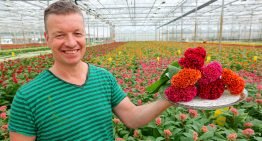‘Meer promotie noodzaak, maar budget ontbreekt’