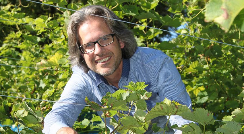 ‘City farming alternatief voor telers op zoek naar verandering’ ‘City farming alternatief voor telers op zoek naar verandering’