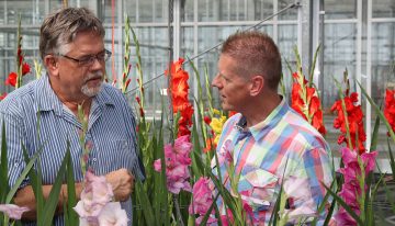 Hygiëne en bewustwording kan beter bij bloembollen en vaste planten