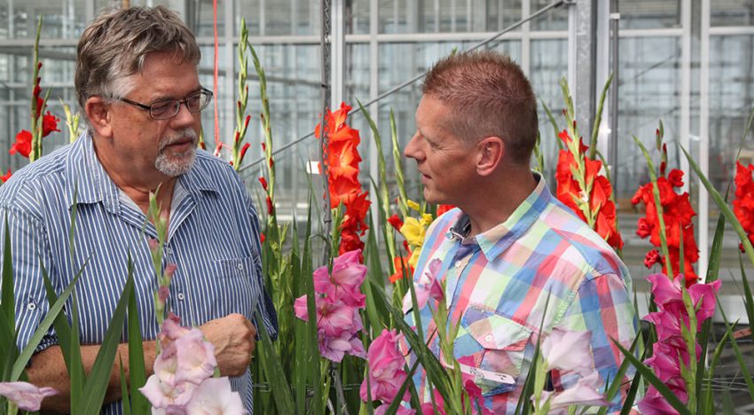 Hygiëne en bewustwording kan beter bij bloembollen en vaste planten Hygiëne en bewustwording kan beter bij bloembollen en vaste planten