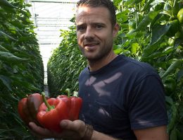 Geen nadelige invloed veel schermen op productie en kwaliteit