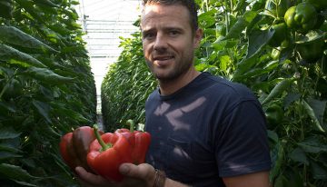 Geen nadelige invloed veel schermen op productie en kwaliteit
