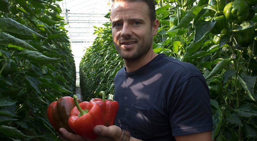 Geen nadelige invloed veel schermen op productie en kwaliteit