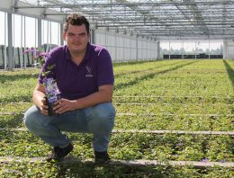 ‘Streven is niet een groter bedrijf, maar een steeds betere kwaliteit clematis’
