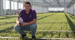 ‘Streven is niet een groter bedrijf, maar een steeds betere kwaliteit clematis’