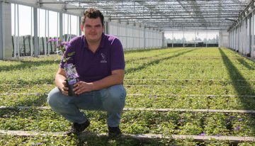 ‘Streven is niet een groter bedrijf, maar een steeds betere kwaliteit clematis’