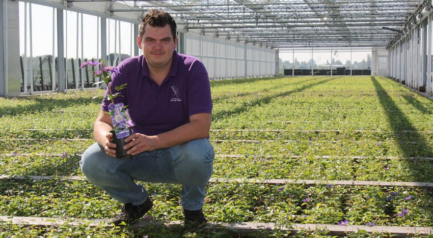 ‘Streven is niet een groter bedrijf, maar een steeds betere kwaliteit clematis’