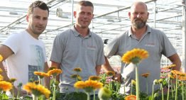 ‘Door vernieuwing zijn we als groep aantrekkelijker voor de handel’