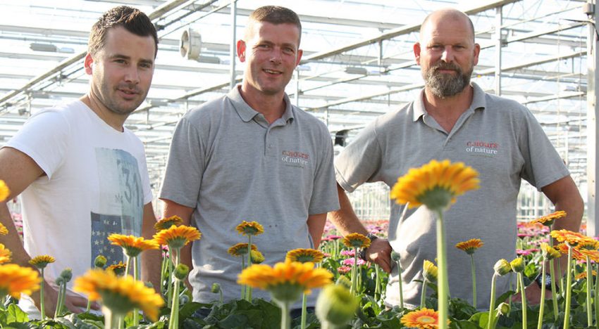 ‘Door vernieuwing zijn we als groep aantrekkelijker voor de handel’