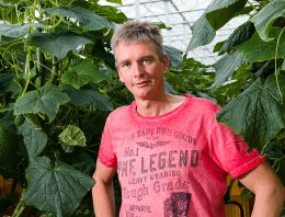 Ketenproject kleine kern komkommer vraagt om intensieve samenwerking