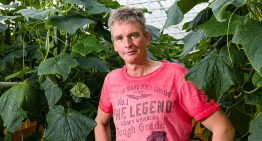 Ketenproject kleine kern komkommer vraagt om intensieve samenwerking