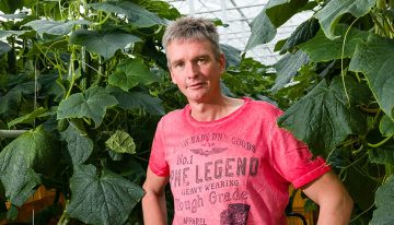 Ketenproject kleine kern komkommer vraagt om intensieve samenwerking