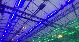 Dynamische lichtrecepten in tomaat