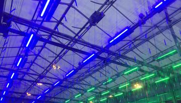 Dynamische lichtrecepten in tomaat