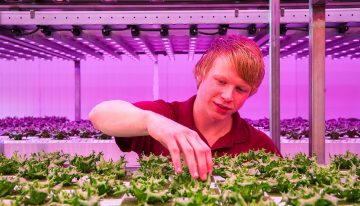 Verticaal Telen groeit wereldwijd, vooral buiten Nederland
