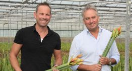 ‘Meer exclusiviteit: zware stelen, grote knoppen, andere kleuren’