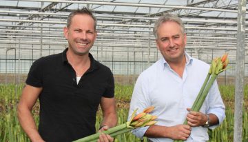 ‘Meer exclusiviteit: zware stelen, grote knoppen, andere kleuren’