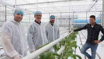Planten via wortels sturen naar vegetatieve of generatieve groei