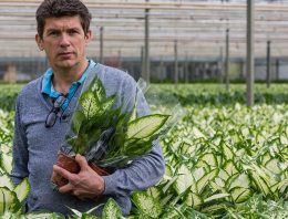 Potplantenteler heeft veel voordeel van geautomatiseerd inhoezen