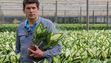 Potplantenteler heeft veel voordeel van geautomatiseerd inhoezen