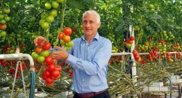Route voor illegale groene middelen naar de markt moet op slot