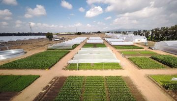 Jungle Talks webinars over Mexicaanse tuinbouw nu online