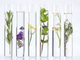 Wordt de tuinbouw biobased?