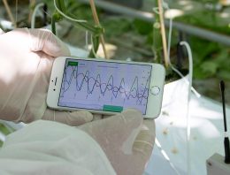 ‘Mobiele app is het begin van gepersonaliseerd watergeefadvies’