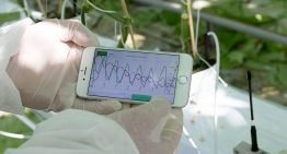 ‘Mobiele app is het begin van gepersonaliseerd watergeefadvies’