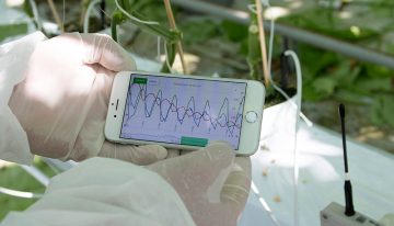 ‘Mobiele app is het begin van gepersonaliseerd watergeefadvies’
