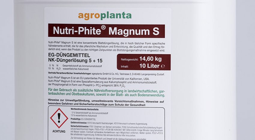 Nieuw middel geeft wortelboost aan paprika en gerbera