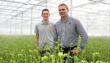 Betere klimaatbeheersing bij freesia belangrijker dan energiebesparing