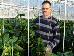 Masterclass ondersteunt teler op zoek naar nieuwe marktbenadering